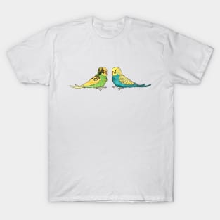 Budgie - recessive pied and greywing in green line T-Shirt